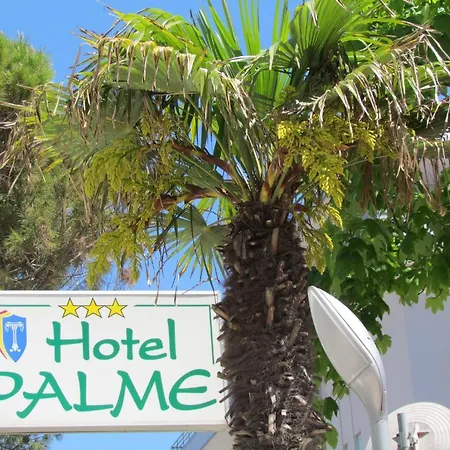 Hotel Palme 3*