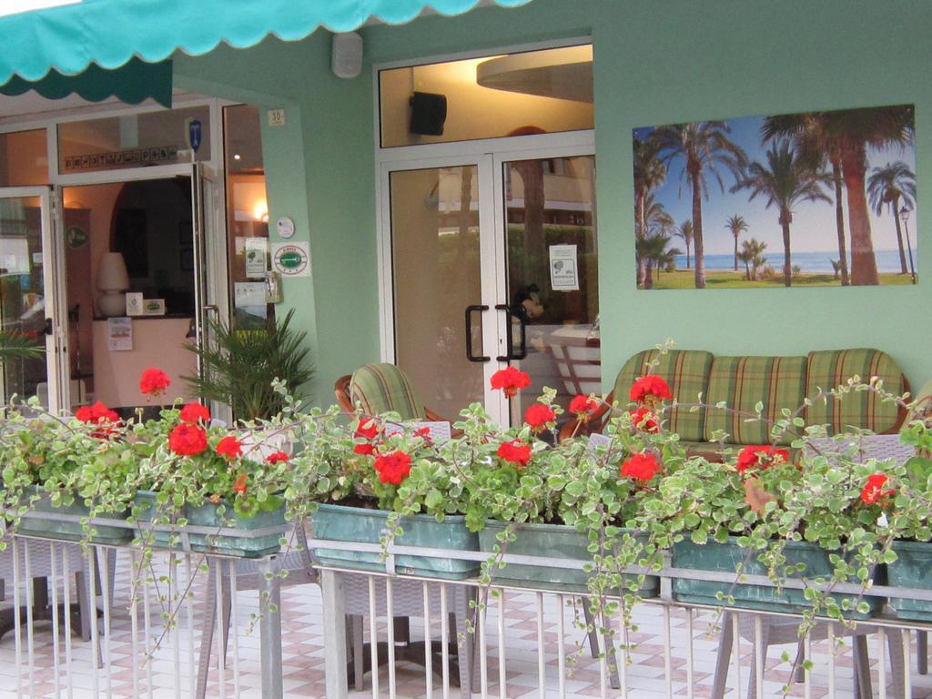 Palme Hotel 3*